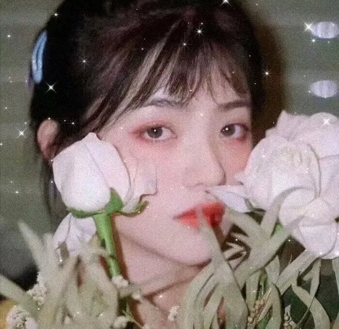隨懿深度行